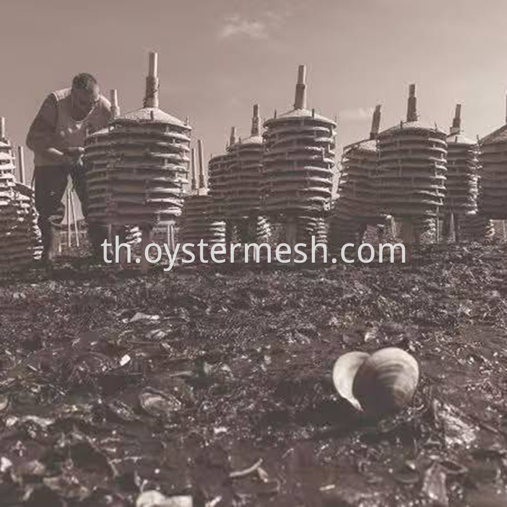 Seed Collector (14)